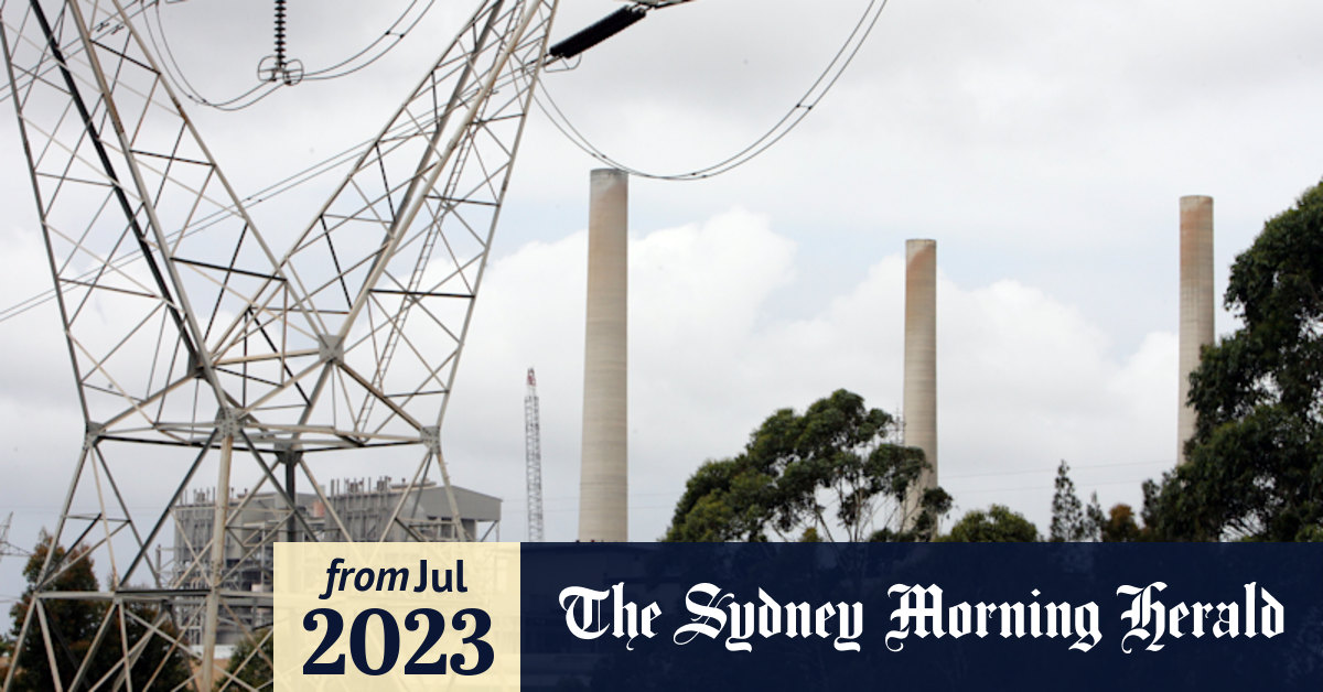 Renewable energy transition Vales Point coal plant could stay open